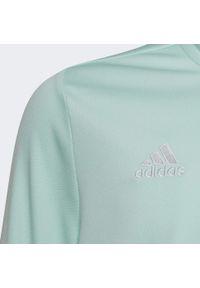 Adidas - Bluza piłkarska dla dzieci adidas Entrada 22 Training Top. Kolor: zielony. Sport: piłka nożna #2