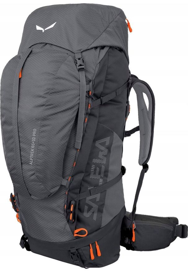 Plecak turystyczny Salewa Plecak alptrek 65 pro-quiet shade SALEWA