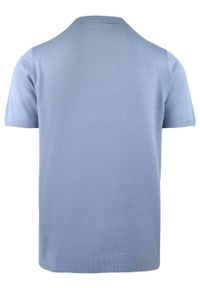Męska Koszulka Polo z Dzianiny - Brave Soul - Błękitna. Okazja: na co dzień. Typ kołnierza: polo. Kolor: niebieski. Materiał: wiskoza, poliamid. Sezon: wiosna, lato. Styl: casual #4