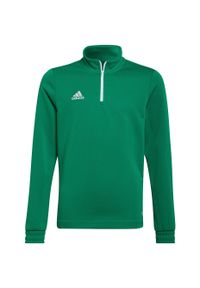 Adidas - Bluza piłkarska dla dzieci adidas Entrada 22 Training Top. Kolor: wielokolorowy, zielony, biały. Sport: piłka nożna