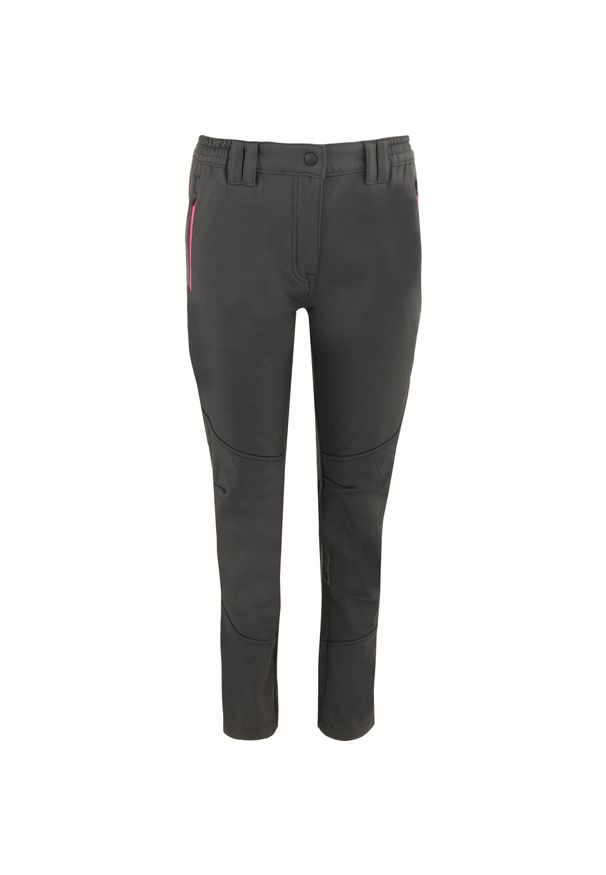 ZSPORT - Damskie Spodnie Softshell Miura - Styl i Wygoda. Kolor: szary. Materiał: softshell. Sport: turystyka piesza