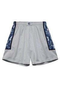 Mitchell & Ness - Short NBA Swingma n Los Angeles Lakers. Kolor: szary, niebieski, wielokolorowy. Sport: koszykówka #1