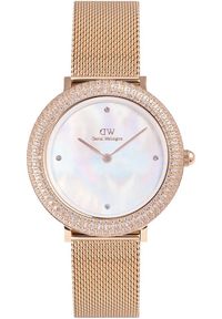 Zegarek damski Daniel Wellington DW00100823 CYRKONIE różowe złoto. Kolor: złoty, wielokolorowy, różowy #1