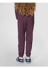 Spodnie dresowe dla dzieci Hummel Tukas. Kolor: wielokolorowy, różowy, brązowy. Materiał: dresówka. Sport: joga i pilates, bieganie
