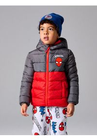 Sinsay - Pikowana kurtka puffer z kapturem Spider-Man - czerwony. Typ kołnierza: kaptur. Kolor: czerwony #1