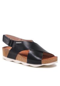 Pikolinos Sandały W9E-0912 Czarny. Kolor: czarny. Materiał: skóra
