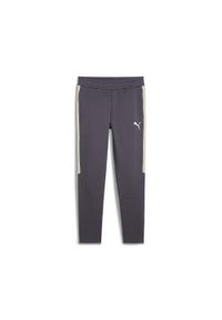 Puma - Męskie spodnie EVOSTRIPE PUMA Galactic Gray. Kolor: szary