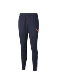 Spodnie męskie Puma teamLIGA Training Pants. Kolor: niebieski #1