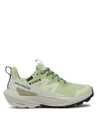 salomon - Salomon Trekkingi Elixir Activ Gore-Tex L47456300 Zielony. Kolor: zielony