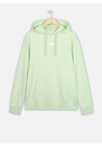 Wrangler - WRANGLER LOGO HOODIE MĘSKA BLUZA GREEN SPRAY W6C4HLXHR 112130707 #1