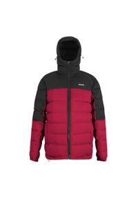 Regatta - Męska Ocieplana Kurtka Aldthorn. Kolor: czerwony. Materiał: puch. Sport: turystyka piesza #1