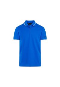 Regatta - Koszulka turystyczna polo męska Tadeo. Okazja: na spacer. Typ kołnierza: polo. Kolor: niebieski. Materiał: prążkowany #1