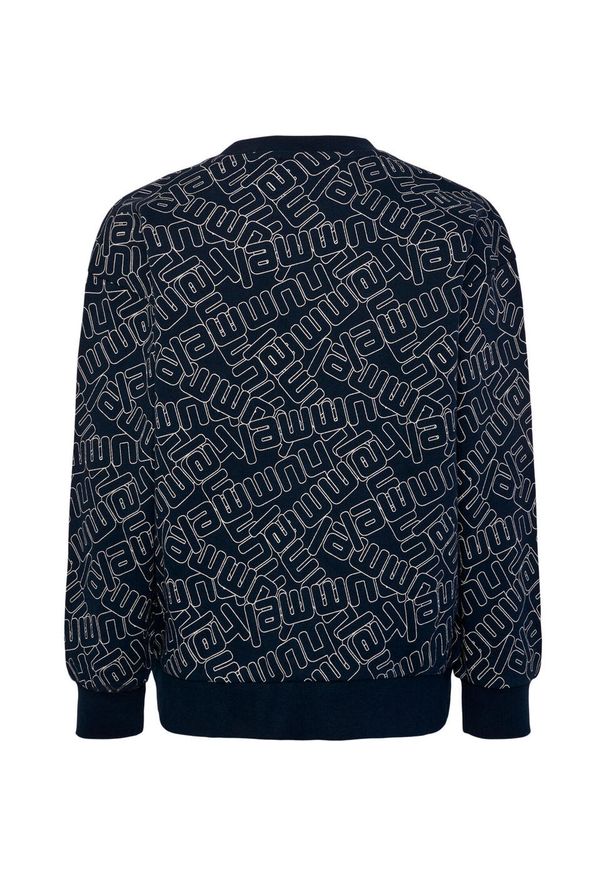 Bluza dziecięca Hummel Carson. Kolor: niebieski. Materiał: materiał. Wzór: nadruk