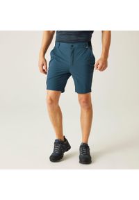 Regatta - Męskie szorty podróżne Light Packaway. Kolor: niebieski. Sport: turystyka piesza