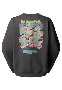 The North Face Bluza Expedition Celebration NF0A8E3G Szary Relaxed Fit. Kolor: szary. Materiał: bawełna