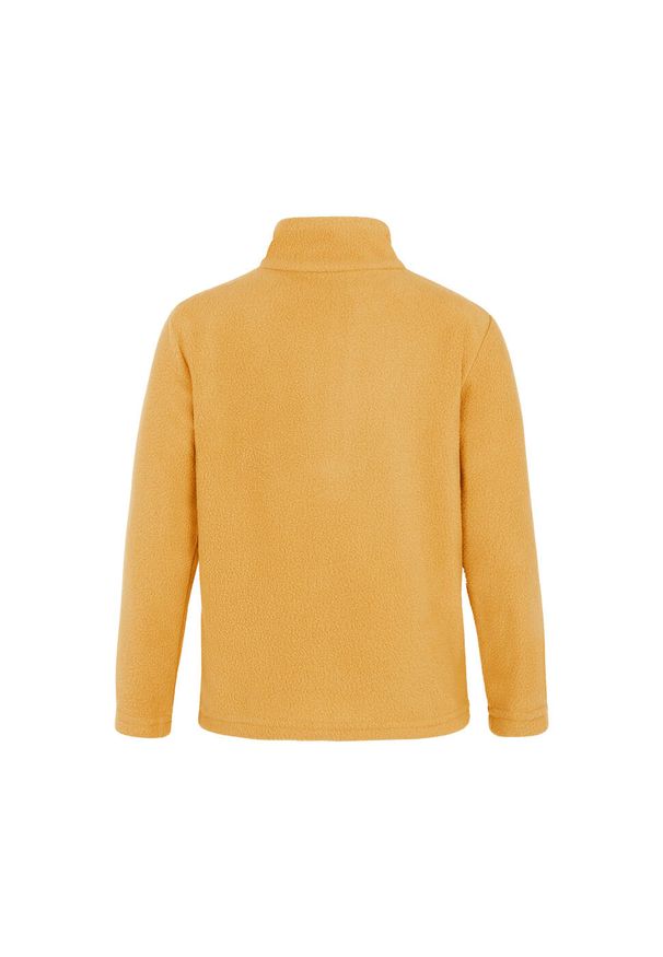 Polar 1/4 zip dla dzieci Protest Perfect Td. Kolor: zielony, żółty, wielokolorowy. Materiał: polar. Sezon: zima. Sport: narciarstwo