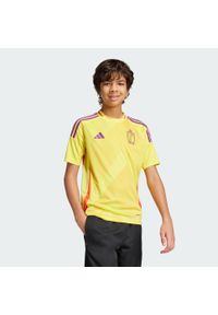 Adidas - Koszulka Belgium 25 (Women's Team) Away Kids. Kolor: żółty. Materiał: materiał. Sport: piłka nożna