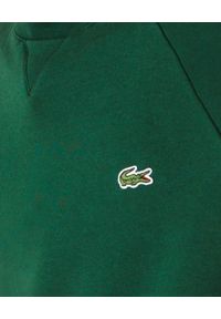 Lacoste - LACOSTE - Zielona bluza z lampasami. Kolor: zielony. Wzór: haft #4