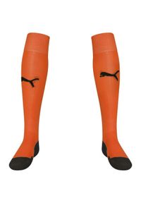 Puma - Skarpety Piłkarskie Liga Core Dla Dzieci. Kolor: żółty, pomarańczowy, wielokolorowy. Sport: piłka nożna