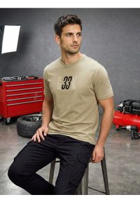 Sinsay - Bawełniana koszulka z krótkim rękawem - zielony. Kolor: zielony. Materiał: bawełna. Długość rękawa: krótki rękaw. Długość: krótkie #1