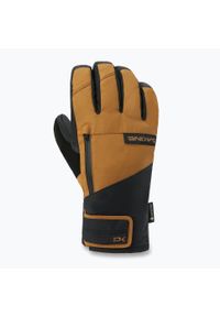 Rękawice snowboardowe męskie Dakine Titan Gore-Tex Short Glove. Kolor: brązowy. Technologia: Gore-Tex. Sport: snowboard