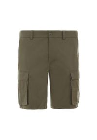 Spodenki turystyczne męskie The North Face M Anticline Cargo Short. Kolor: zielony