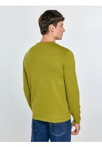 Big-Star - Sweter męski bawełniany zielony Simoner 301. Okazja: na co dzień. Kolor: zielony. Materiał: bawełna. Długość rękawa: długi rękaw. Długość: długie. Wzór: gładki, aplikacja, ze splotem. Styl: casual, klasyczny #2