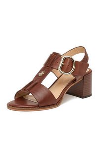 Beverly Hills Polo Club Sandały EO-WB-ISOLDE-09 Brązowy. Kolor: brązowy. Materiał: skóra #9