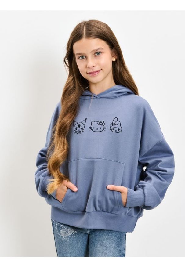 Sinsay - Bluza hoodie z haftem Hello Kitty - szary. Kolor: szary. Wzór: haft, motyw z bajki