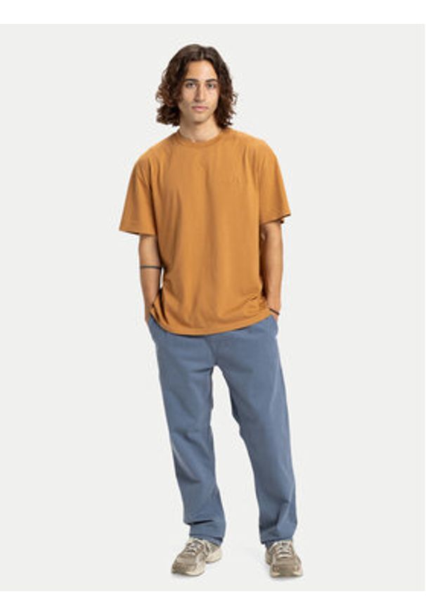 Quiksilver T-Shirt Salt Water EQYZT08204 Brązowy Regular Fit. Kolor: brązowy. Materiał: bawełna