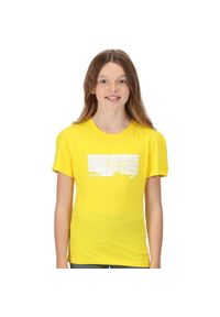 Regatta - TShirt Dziecięcy Z Motywem Zachodu Słońca. Kolor: żółty #1