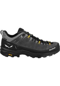 Buty Trekkingowe Męskie Salewa Alp Trainer 2 Gtx. Kolor: wielokolorowy, szary, czarny, zielony