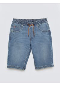 Big-Star - Szorty męskie jeansowe niebieskie Parker 445. Kolor: niebieski. Materiał: jeans. Styl: elegancki, klasyczny #1