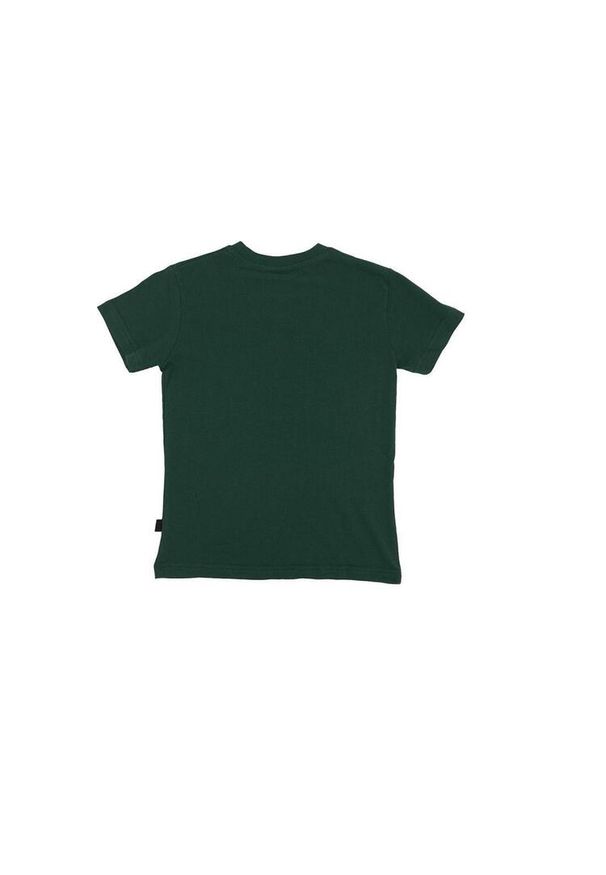 LEONE 1947 APPAREL - Dziecięca koszulka uniwersytecka z krótkim rękawem. Kolor: zielony. Długość rękawa: krótki rękaw. Długość: krótkie. Sport: joga i pilates