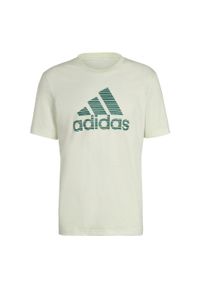 Adidas - T-shirt z krótkim rękawem męski adidas ESSENTIALS. Kolor: zielony, żółty, wielokolorowy. Długość rękawa: krótki rękaw. Długość: krótkie