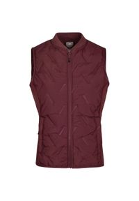 TRESPASS - Damska Kamizelka Miran Hybrid Active Gilet. Kolor: różowy