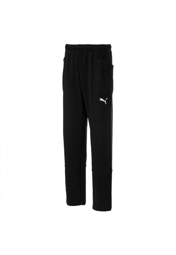 Spodnie dla chłopca Puma Liga Casuals Pants czarne 655635 03. Kolor: czarny, wielokolorowy, biały. Sport: piłka nożna
