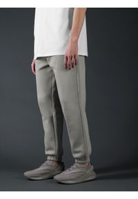 4f - Spodnie dresowe joggery z bawełną organiczną męskie 4F x Robert Lewandowski. Kolor: szary. Materiał: bawełna, dresówka. Wzór: nadruk