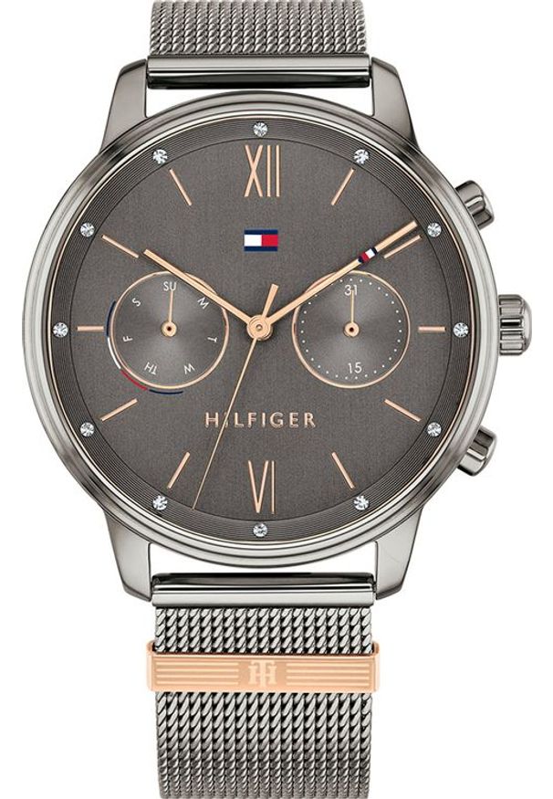 Zegarek Tommy Hilfiger ZEGAREK DAMSKI TOMMY HILFIGER BLAKE (zf515b)