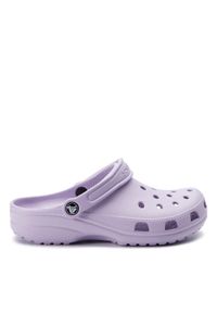 Crocs Klapki Classic 10001 Fioletowy. Kolor: fioletowy