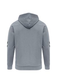 Hummel bluza unisex sportowa bawełniana kangurka LGC Graham Hoodie. Kolor: czarny. Materiał: bawełna. Sport: fitness