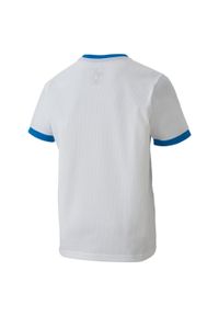 Koszulka dla dzieci Puma teamGOAL 23 Jersey. Kolor: biały, wielokolorowy, niebieski. Materiał: poliester