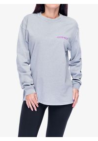 Longsleeve Gramicci Carabiner L/S Tee. Kolor: szary. Długość rękawa: długi rękaw. Sport: turystyka piesza
