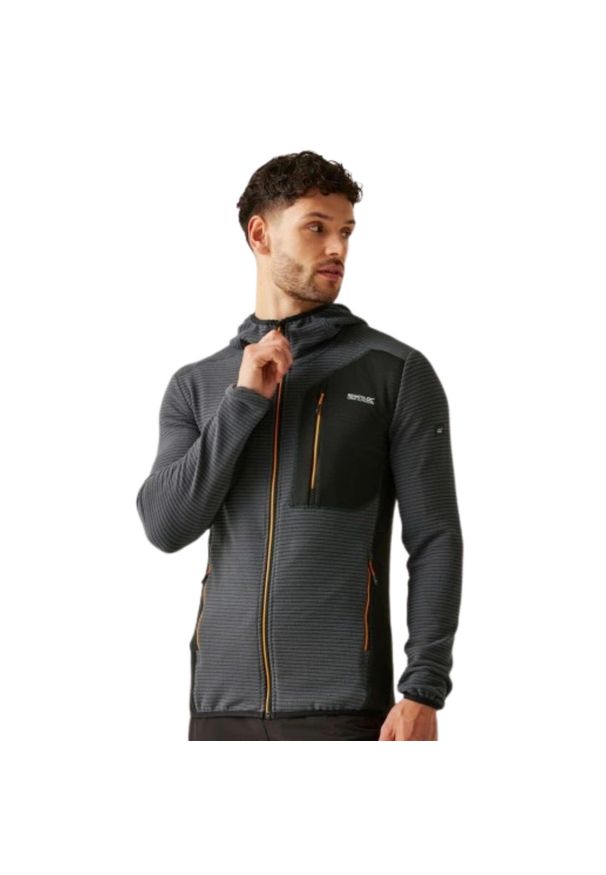 Bluza turystyczna polarowa męska Regatta Thompson. Kolor: szary. Materiał: polar. Styl: sportowy. Sport: turystyka piesza