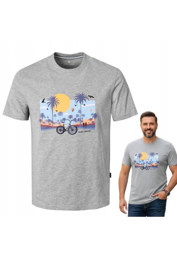 Męska Koszulka (T-Shirt) - Pako Jeans - Szara, Palmy, Rower, Słońce. Okazja: na co dzień. Kolor: szary. Materiał: bawełna, wiskoza. Wzór: nadruk. Styl: casual