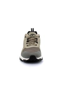 Buty męskie Timberland Winsor Trail Low Lace. Kolor: brązowy
