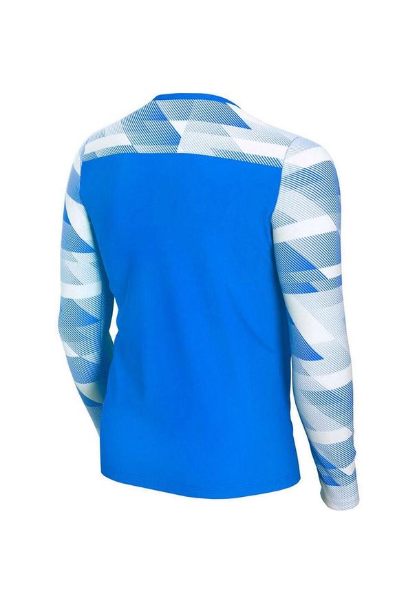 Nike - Koszulka Bramkarska Z Długim Rękawem Dla Dzieci Park IV DriFIT. Kolor: niebieski. Długość rękawa: długi rękaw. Długość: długie. Sport: turystyka piesza