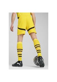 Puma - Męskie szorty Borussia Dortmund 24/25 PUMA Faster Yellow Black. Kolor: żółty, wielokolorowy, czarny. Sport: piłka nożna