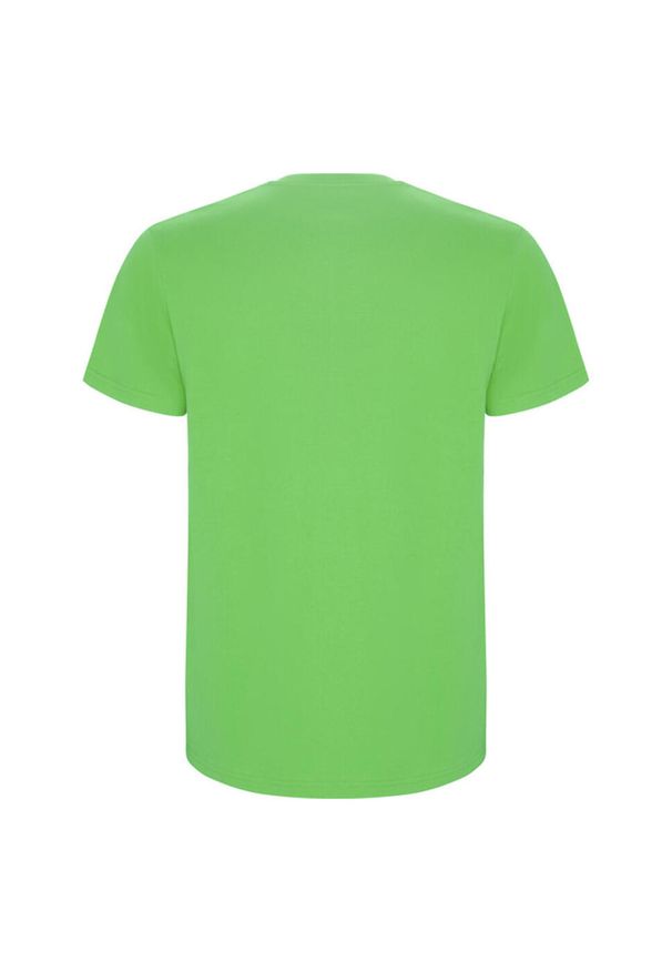 ROLY - Męska Koszulka Stafford. Kolor: zielony. Sport: turystyka piesza