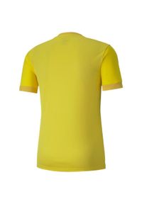 Koszulka do piłki nożnej męska Puma teamGOAL 23 Jersey. Kolor: żółty. Materiał: jersey